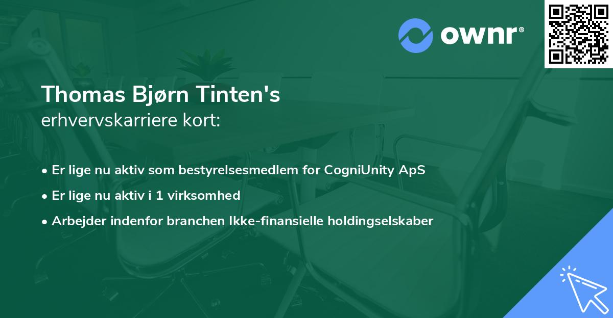 Thomas Bjørn Tinten's erhvervskarriere kort