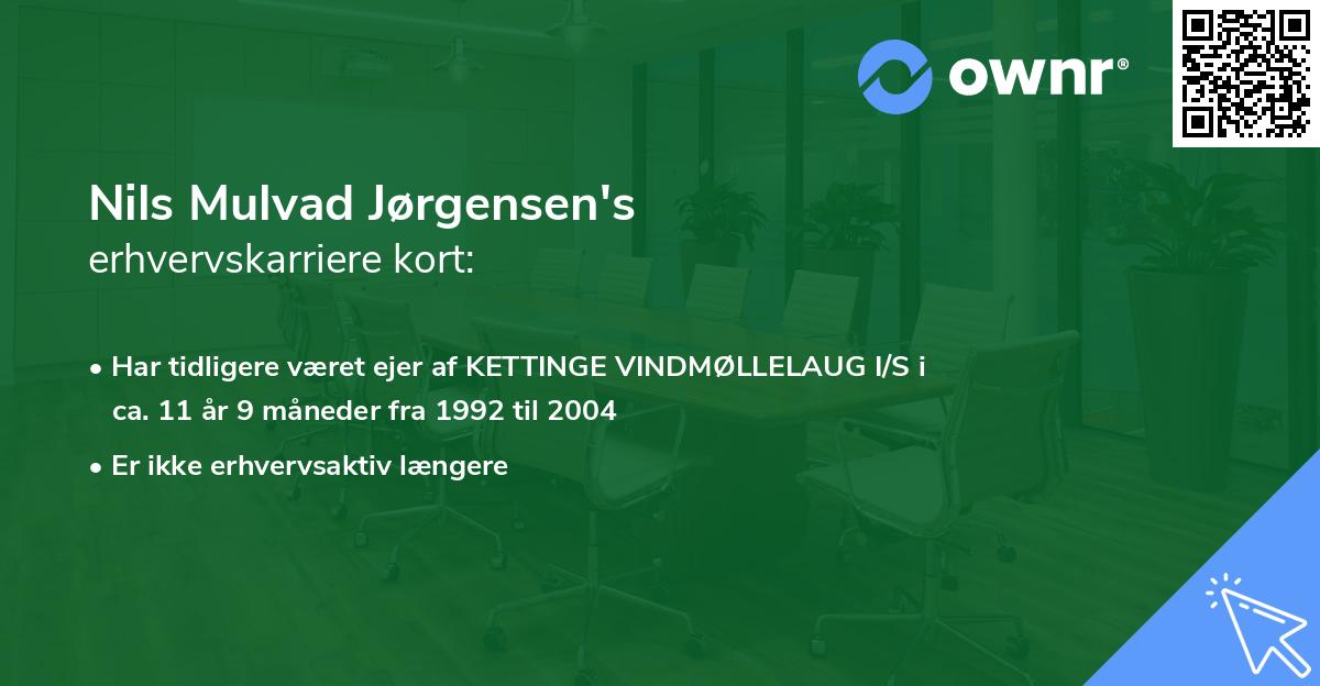 Nils Mulvad Jørgensen's erhvervskarriere kort