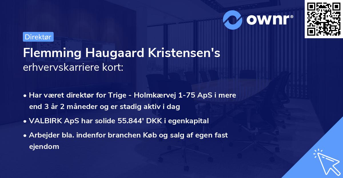 Flemming Haugaard Kristensen's erhvervskarriere kort