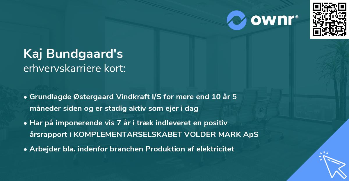 Kaj Bundgaard's erhvervskarriere kort