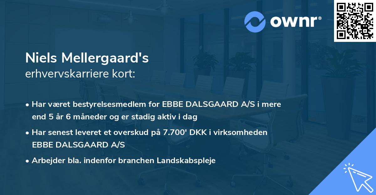 Niels Mellergaard's erhvervskarriere kort