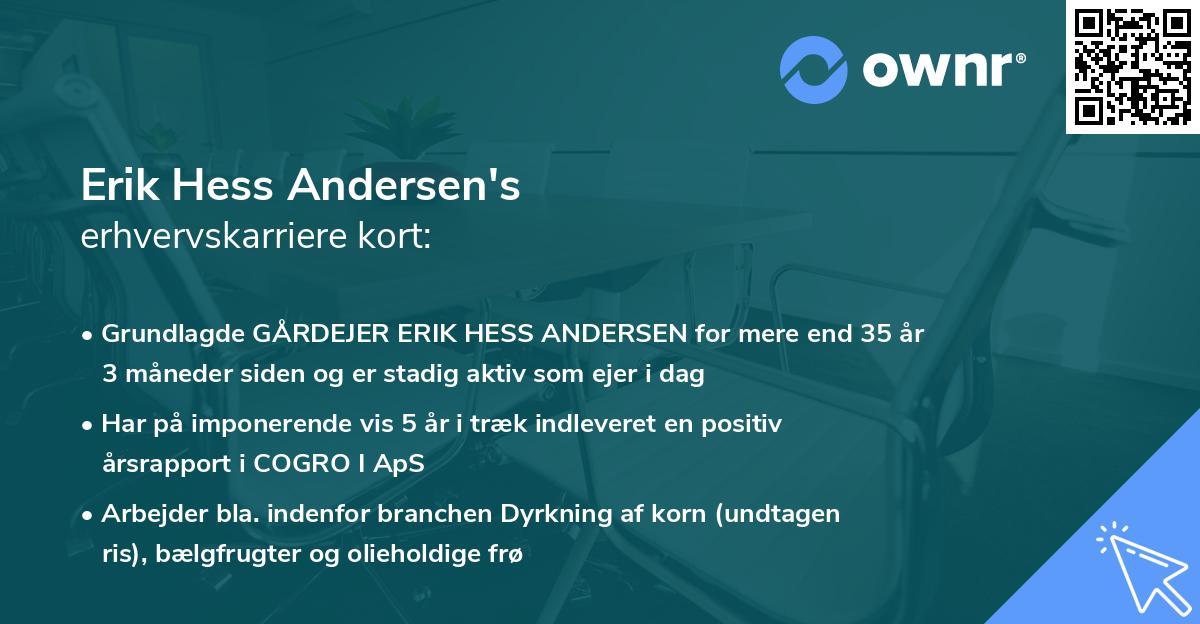 Erik Hess Andersen's erhvervskarriere kort