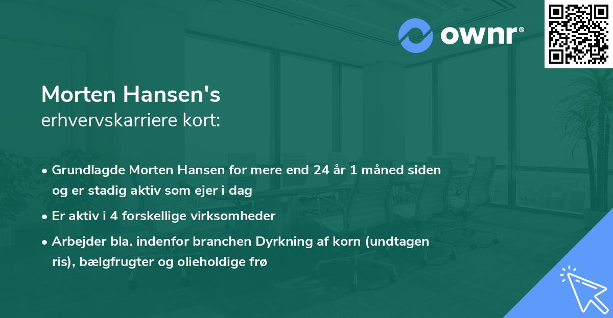 Morten Hansen's erhvervskarriere kort