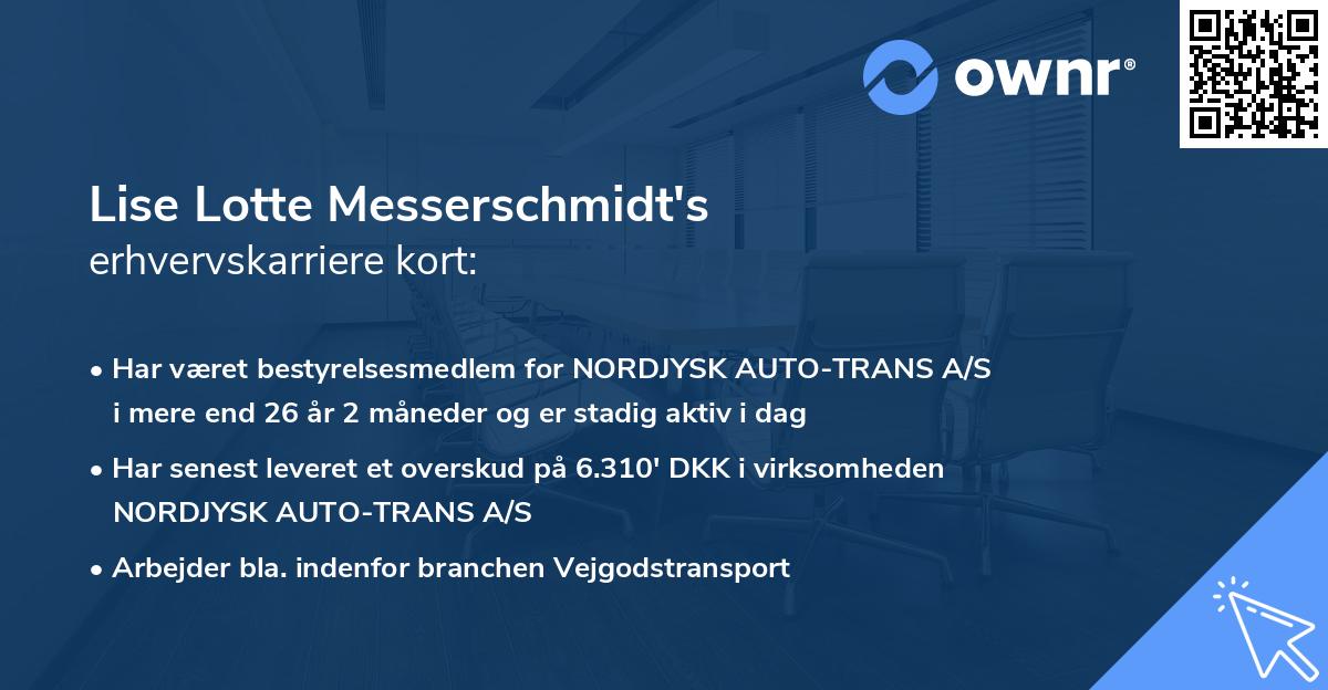 Lise Lotte Messerschmidt's erhvervskarriere kort