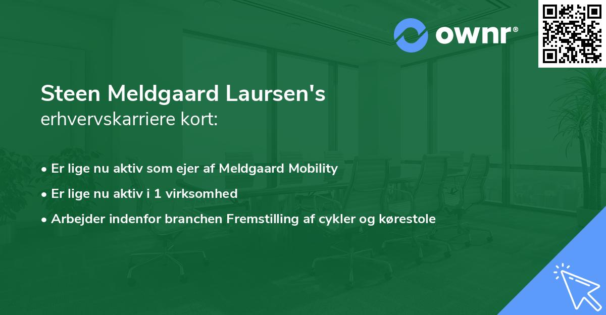 Steen Meldgaard Laursen's erhvervskarriere kort