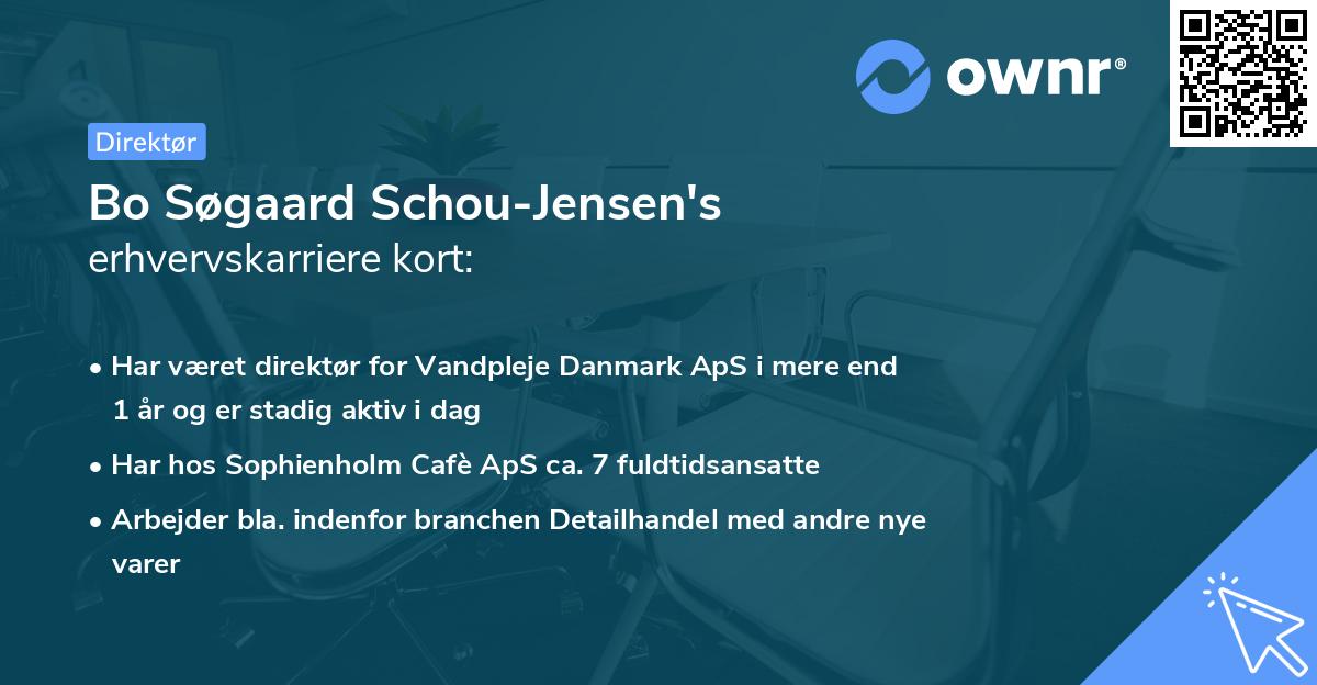 Bo Søgaard Schou-Jensen's erhvervskarriere kort