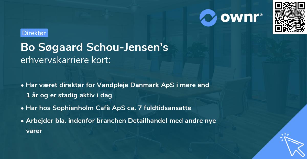 Bo Søgaard Schou-Jensen's erhvervskarriere kort