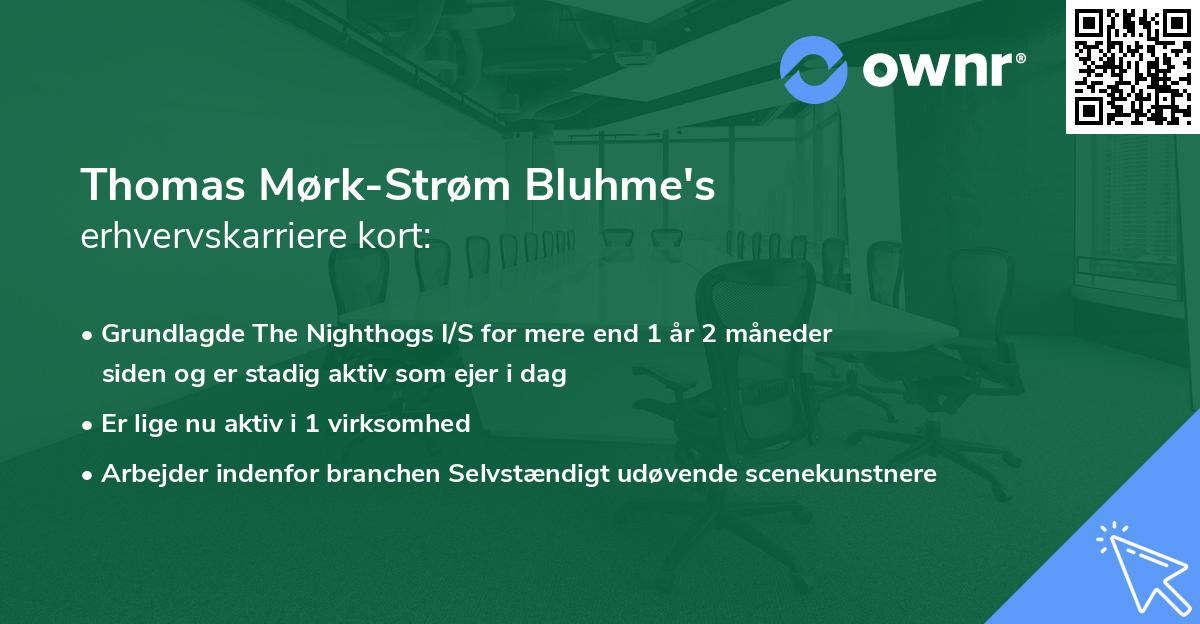 Thomas Mørk-Strøm Bluhme's erhvervskarriere kort