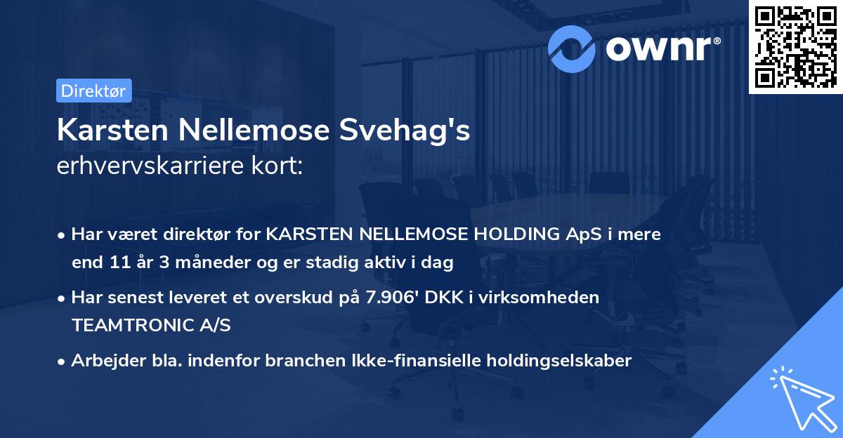 Karsten Nellemose Svehag's erhvervskarriere kort