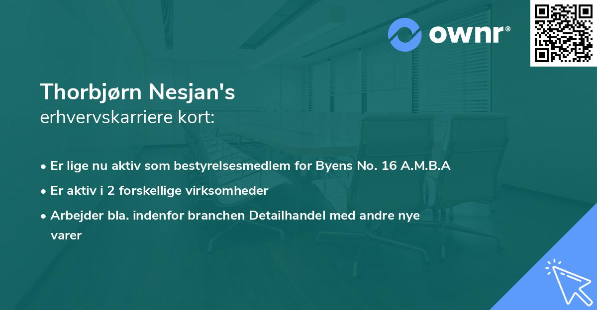 Thorbjørn Nesjan's erhvervskarriere kort