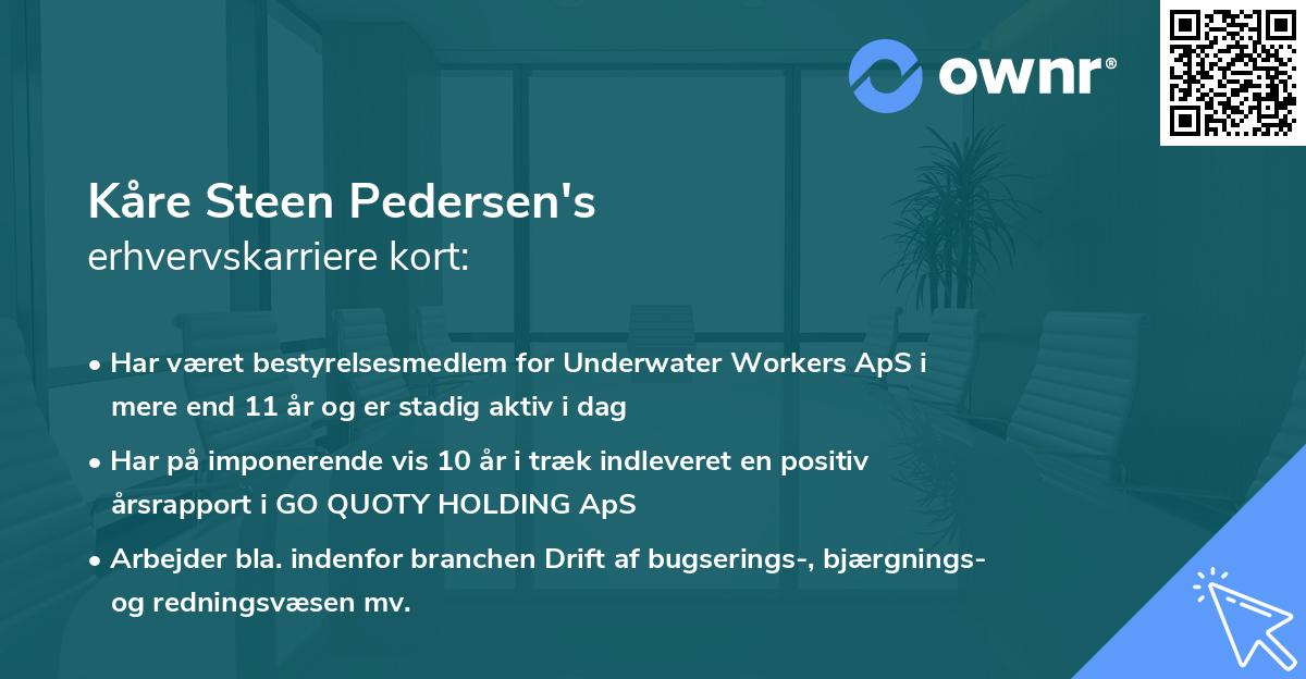 Kåre Steen Pedersen's erhvervskarriere kort
