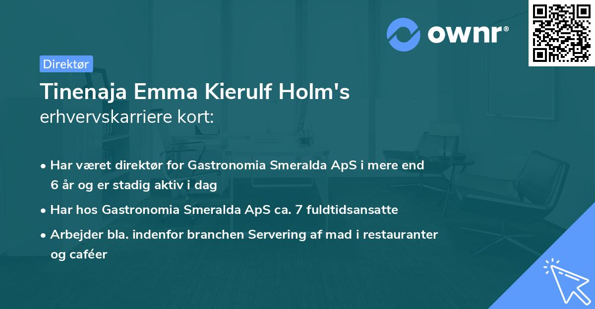 Tinenaja Emma Kierulf Holm's erhvervskarriere kort