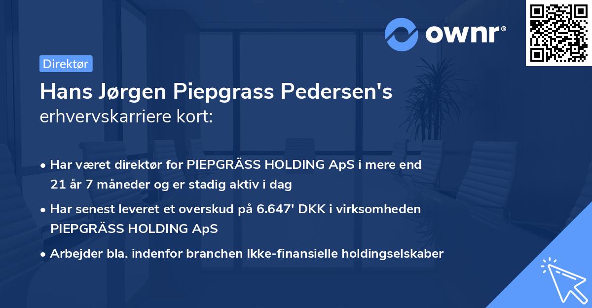 Hans Jørgen Piepgrass Pedersen's erhvervskarriere kort
