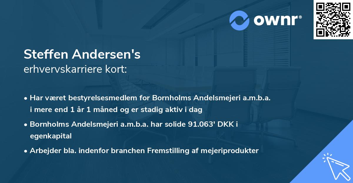 Steffen Andersen's erhvervskarriere kort