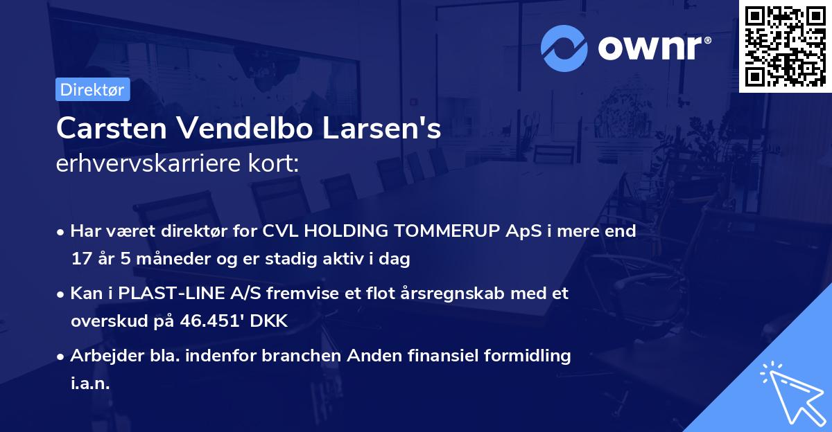 Carsten Vendelbo Larsen's erhvervskarriere kort