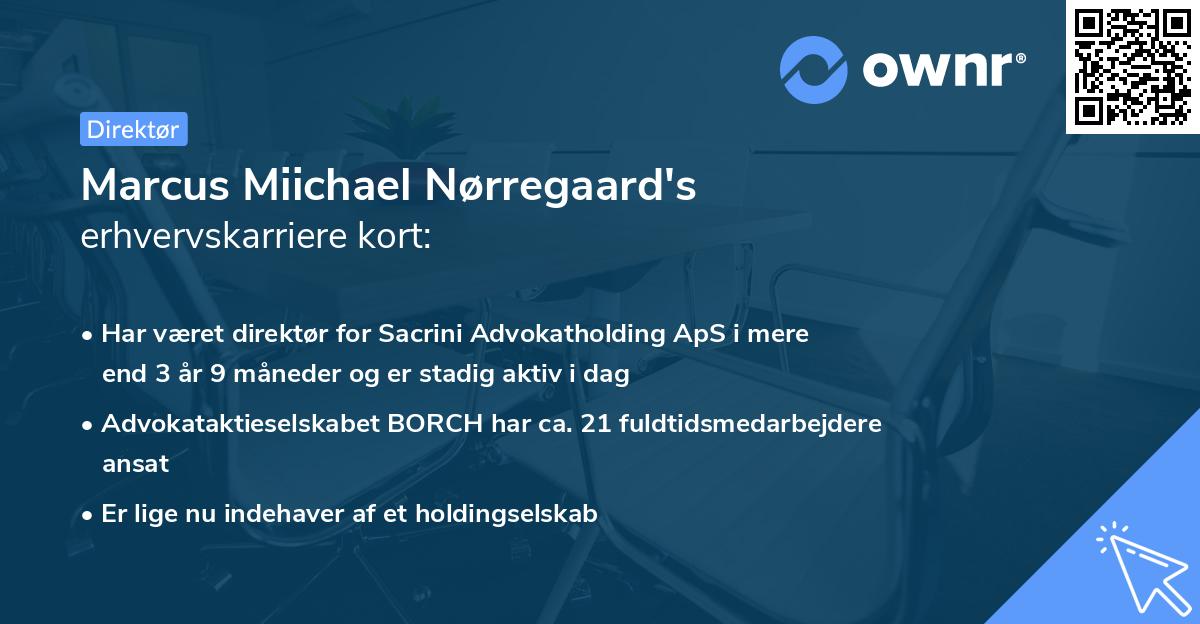 Marcus Miichael Nørregaard's erhvervskarriere kort