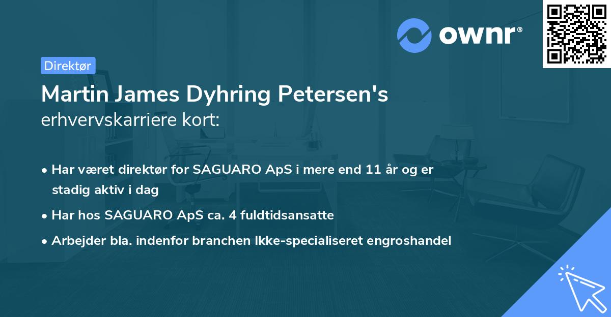 Martin James Dyhring Petersen's erhvervskarriere kort