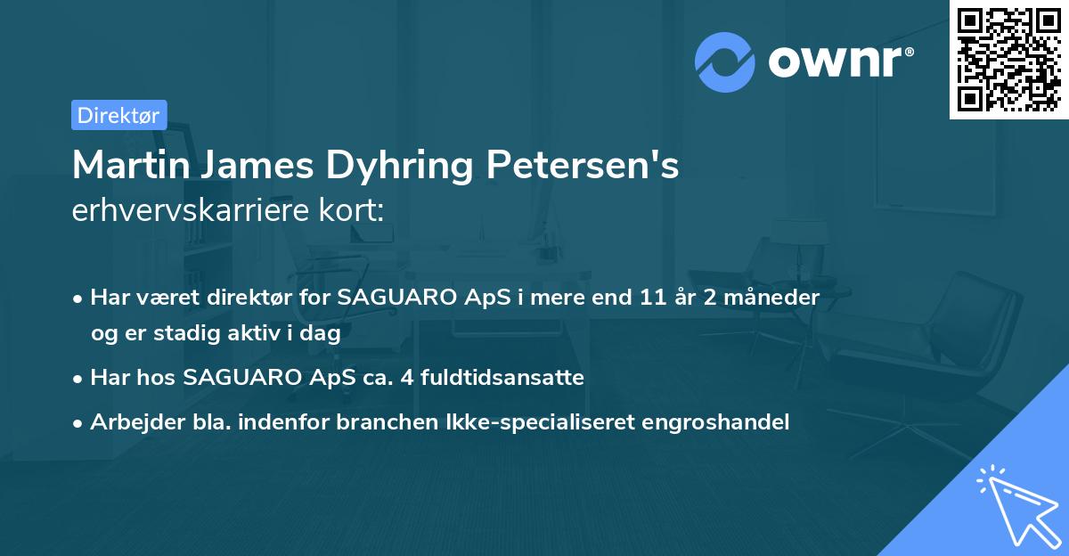 Martin James Dyhring Petersen's erhvervskarriere kort