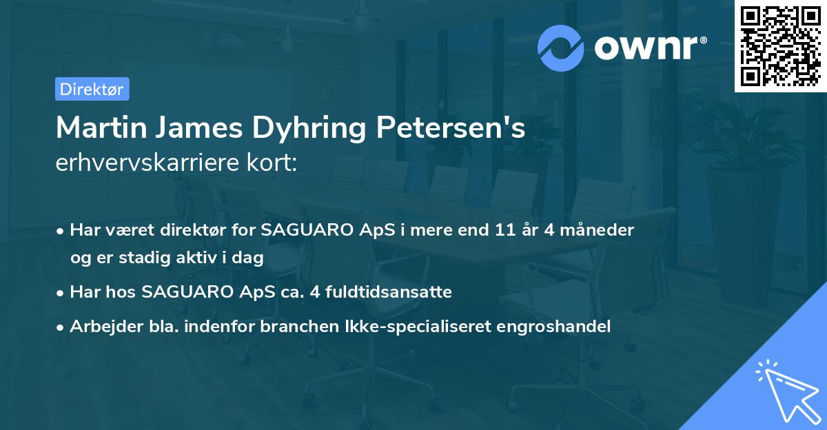 Martin James Dyhring Petersen's erhvervskarriere kort