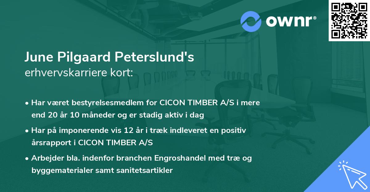 June Pilgaard Peterslund's erhvervskarriere kort