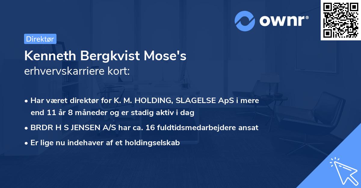 Kenneth Bergkvist Mose's erhvervskarriere kort