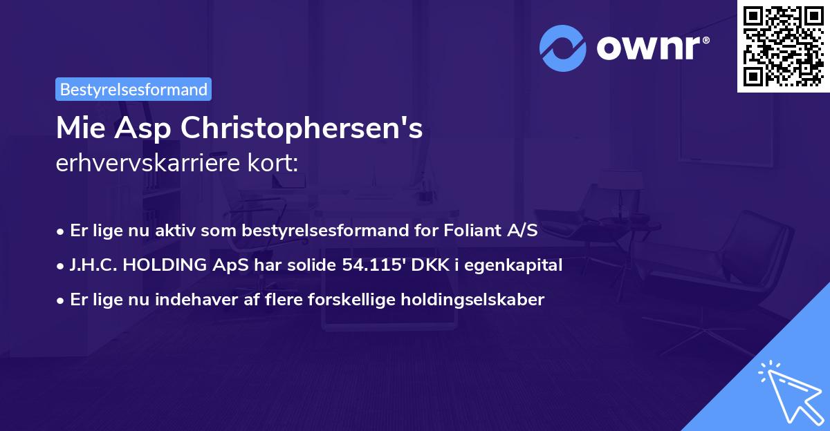 Mie Asp Christophersen's erhvervskarriere kort