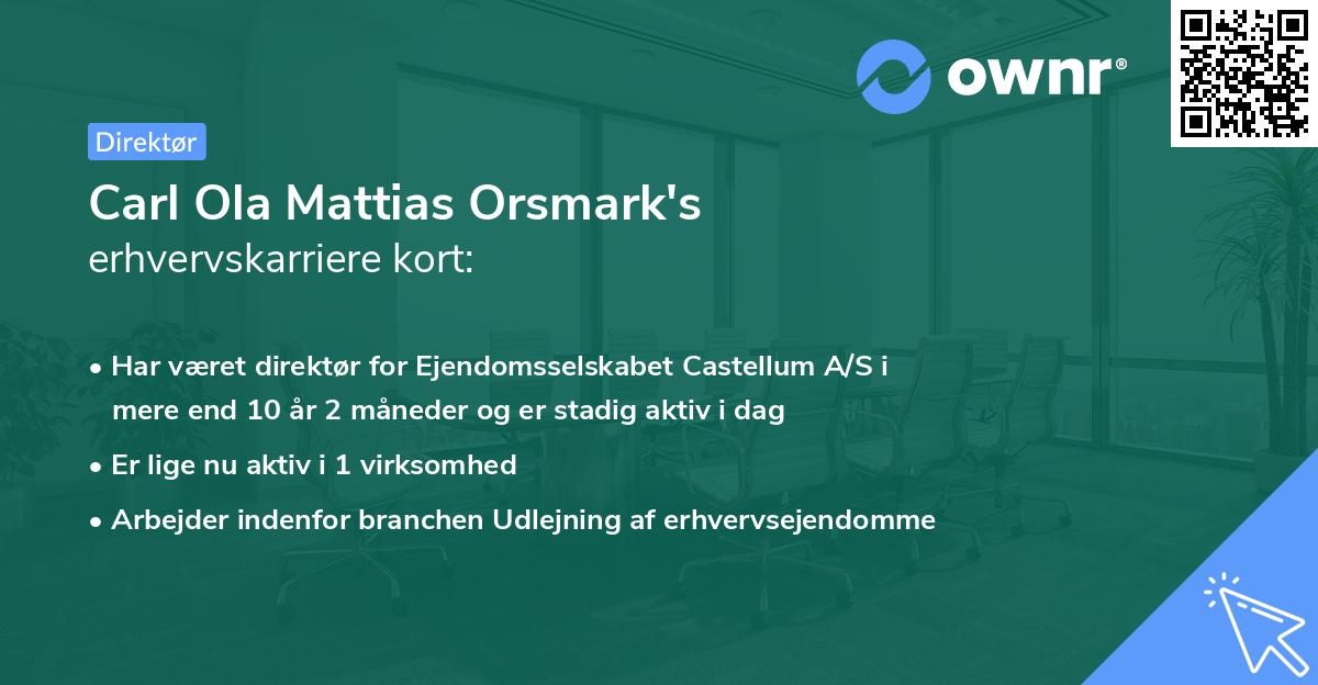 Carl Ola Mattias Orsmark's erhvervskarriere kort