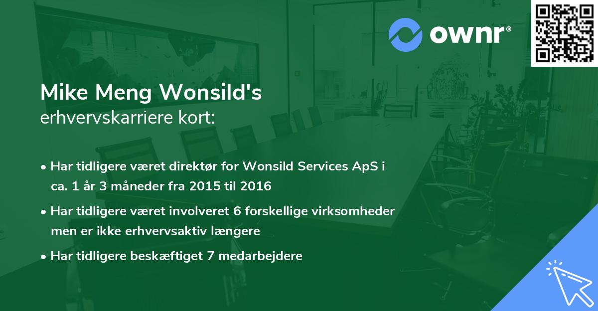 Mike Meng Wonsild's erhvervskarriere kort