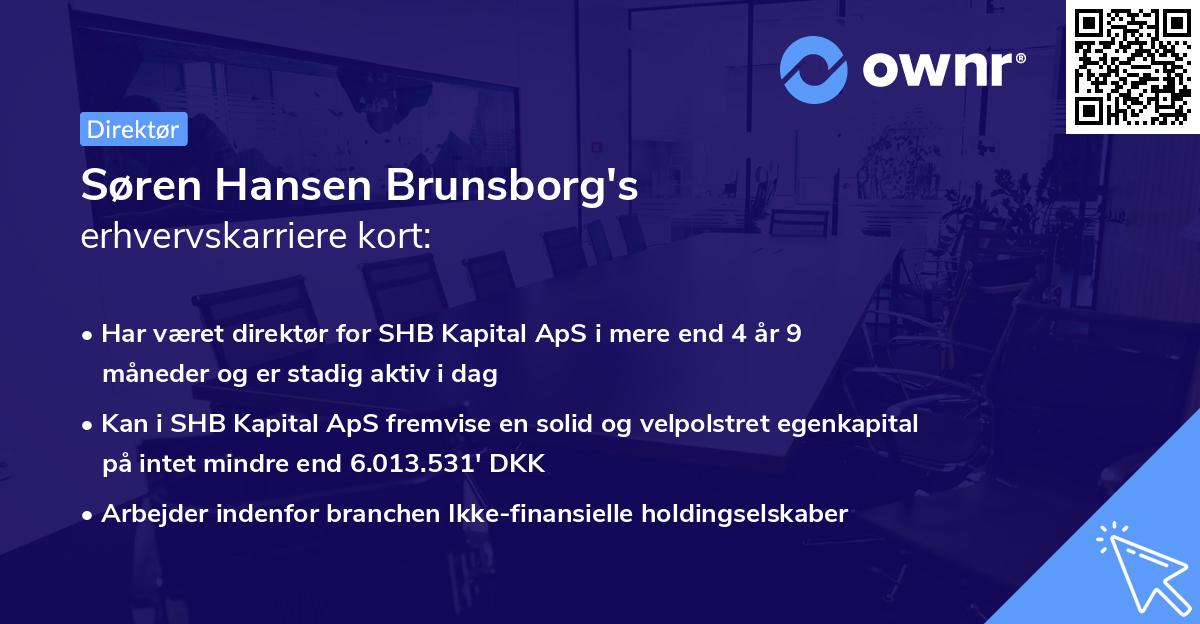 Søren Hansen Brunsborg's erhvervskarriere kort