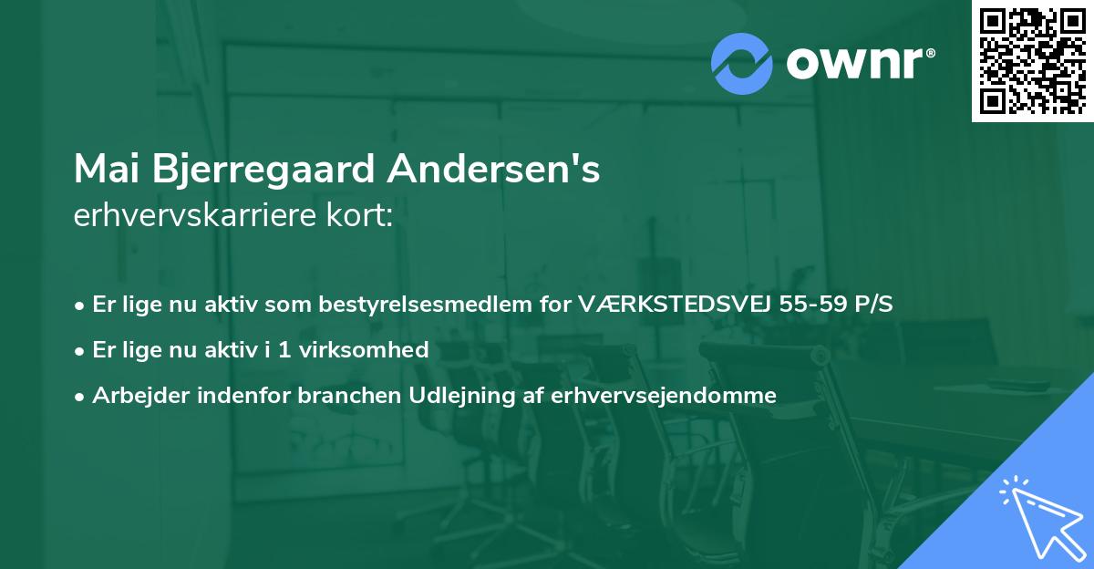 Mai Bjerregaard Andersen's erhvervskarriere kort