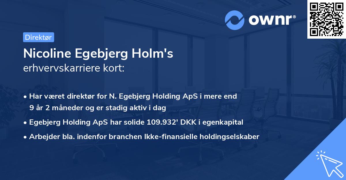 Nicoline Egebjerg Holm's erhvervskarriere kort