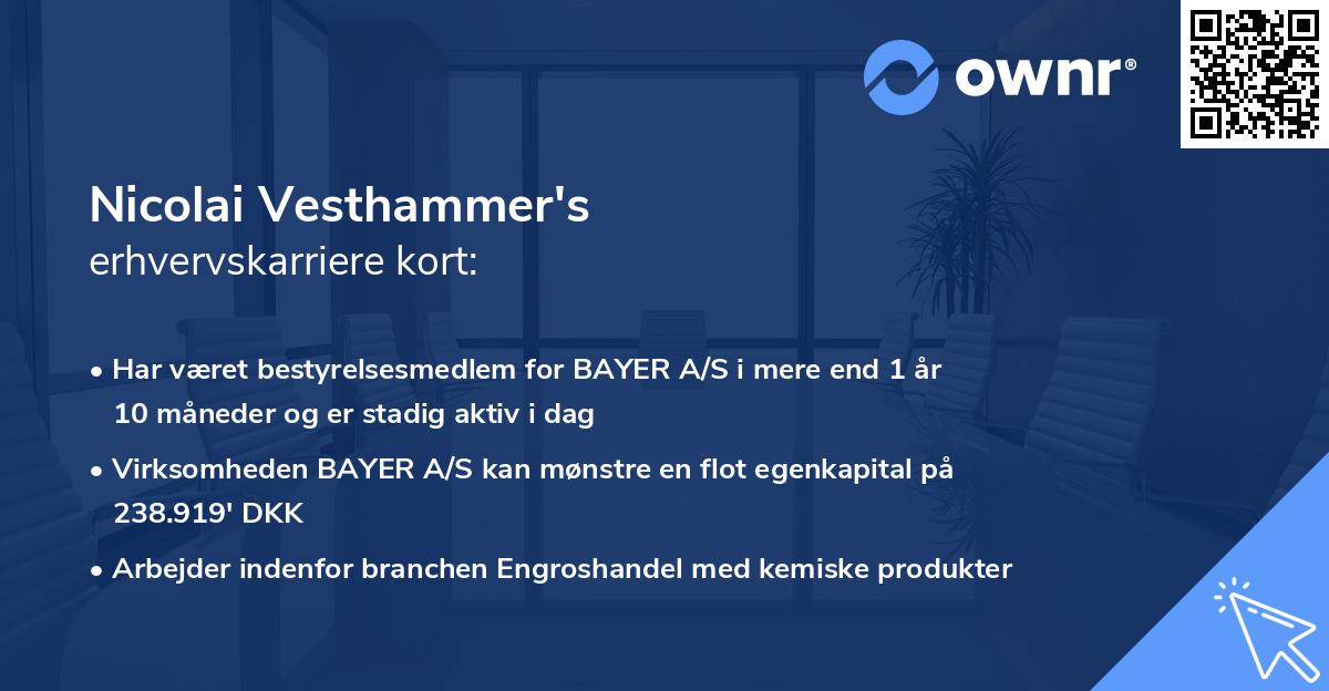Nicolai Vesthammer's erhvervskarriere kort