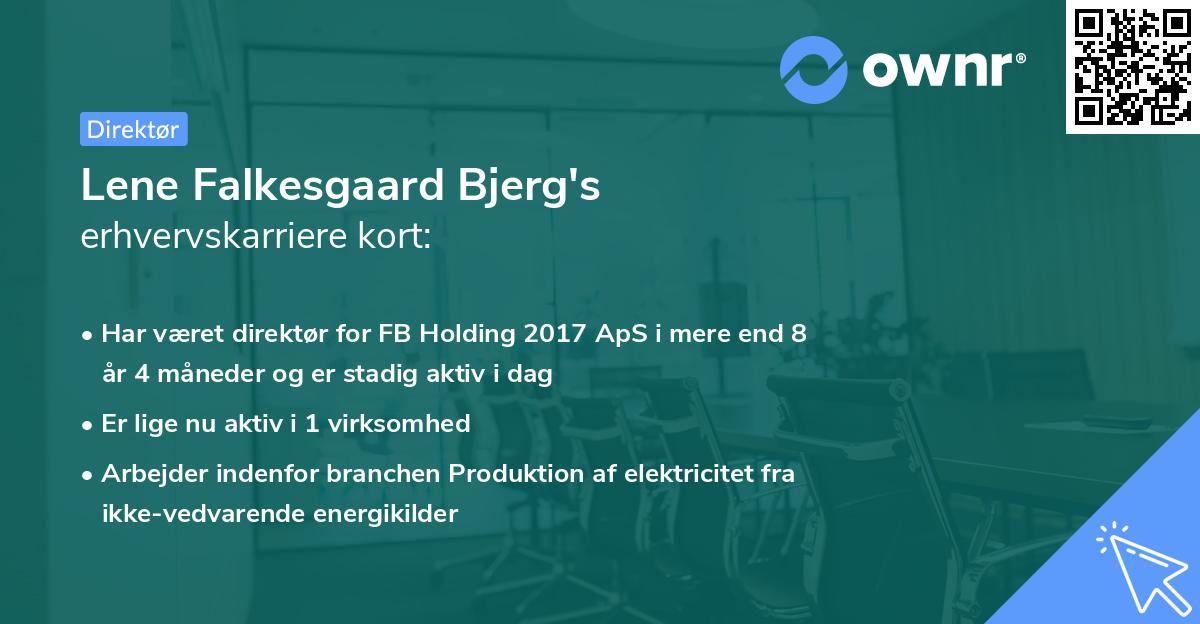 Lene Falkesgaard Bjerg's erhvervskarriere kort