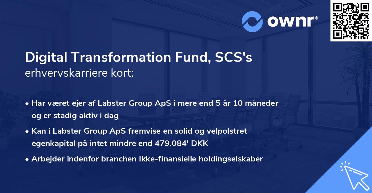 Digital Transformation Fund, SCS's erhvervskarriere kort