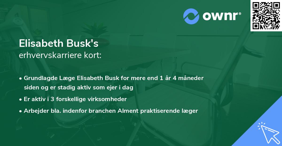 Elisabeth Busk's erhvervskarriere kort