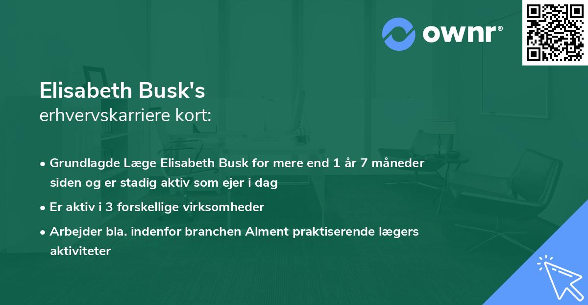 Elisabeth Busk's erhvervskarriere kort