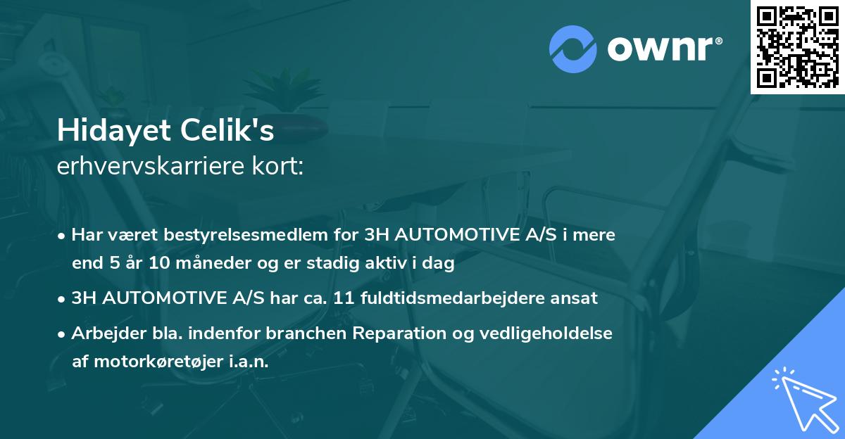 Hidayet Celik's erhvervskarriere kort