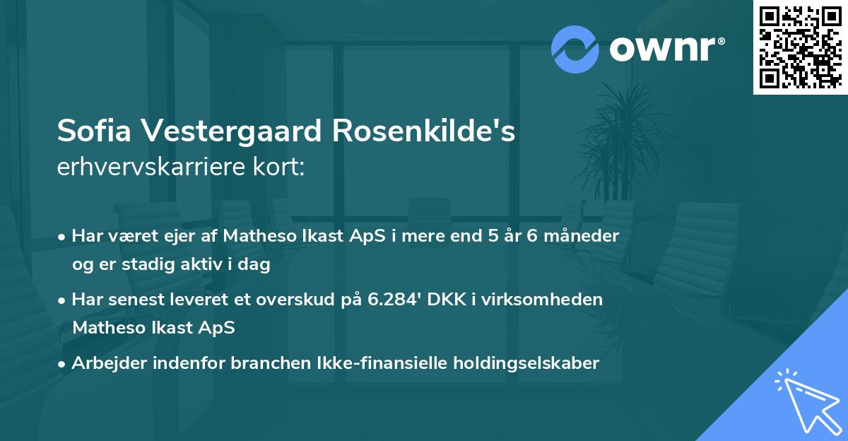 Sofia Vestergaard Rosenkilde's erhvervskarriere kort