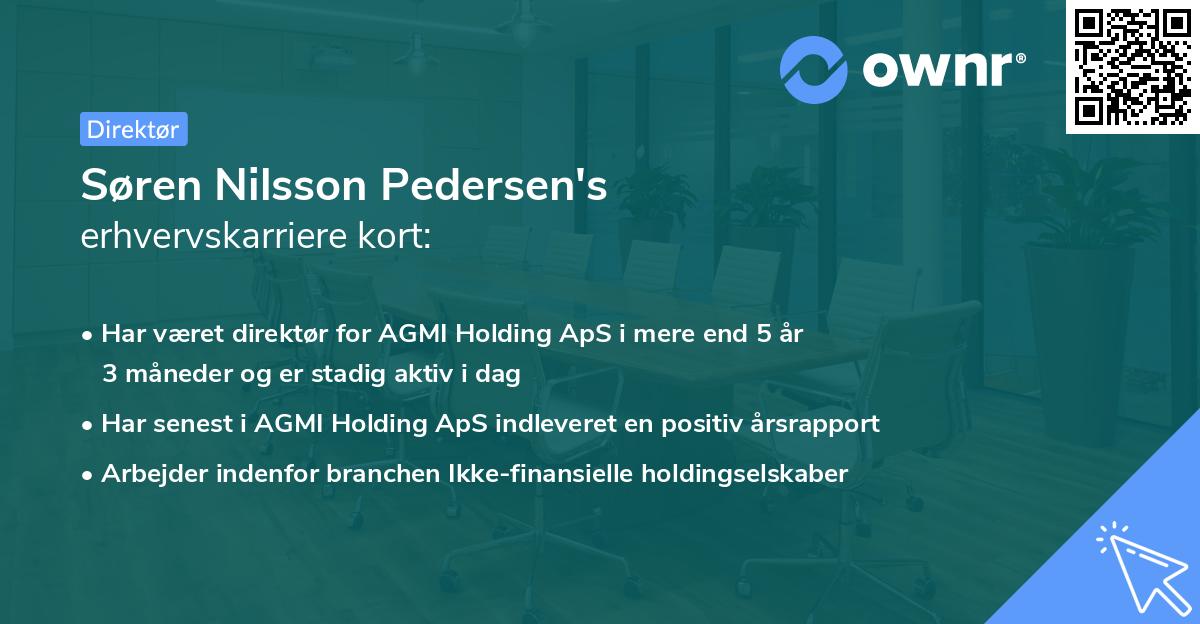 Søren Nilsson Pedersen's erhvervskarriere kort