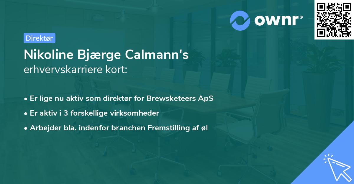 Nikoline Bjærge Calmann's erhvervskarriere kort
