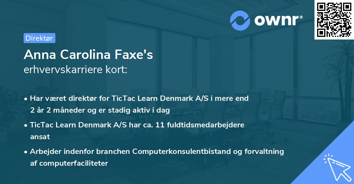 Anna Carolina Faxe's erhvervskarriere kort