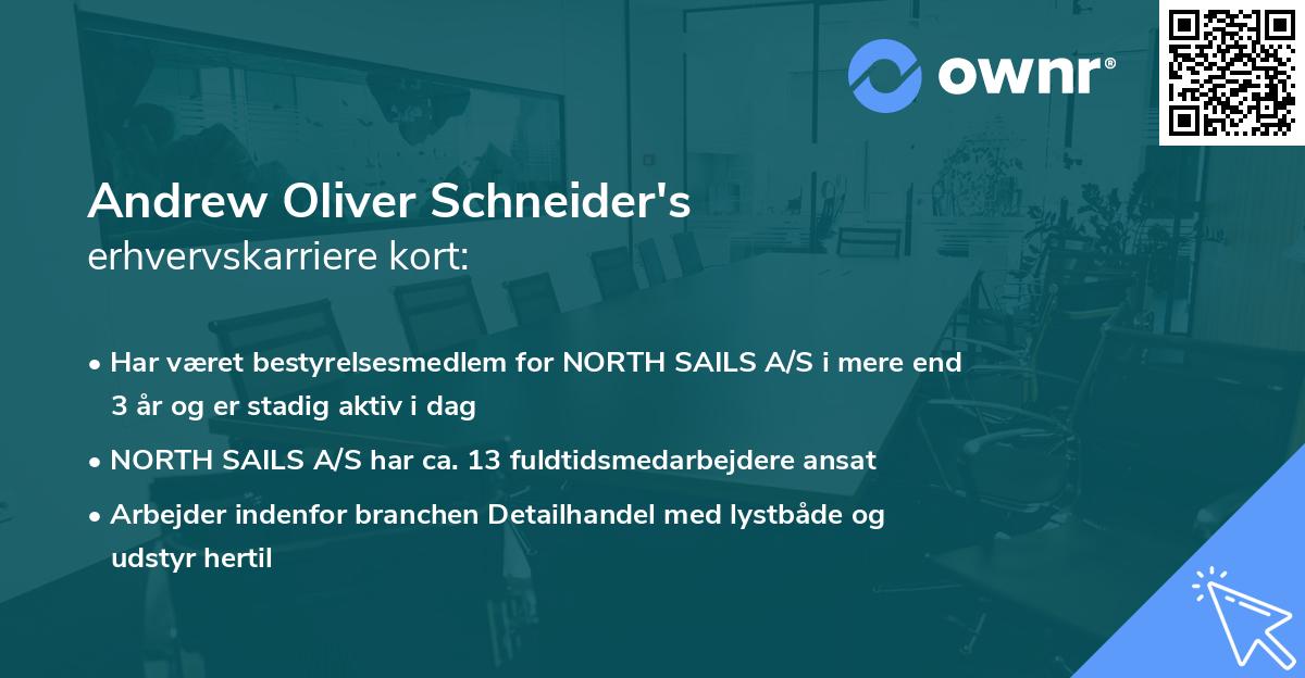 Andrew Oliver Schneider's erhvervskarriere kort