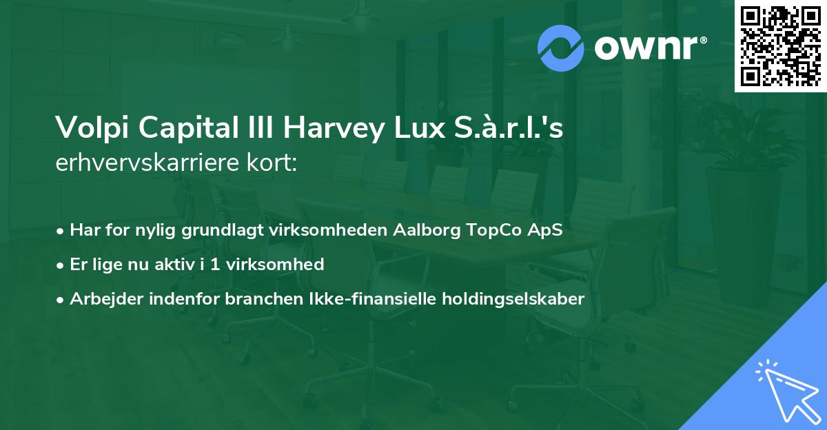 Volpi Capital III Harvey Lux S.à.r.l.'s erhvervskarriere kort