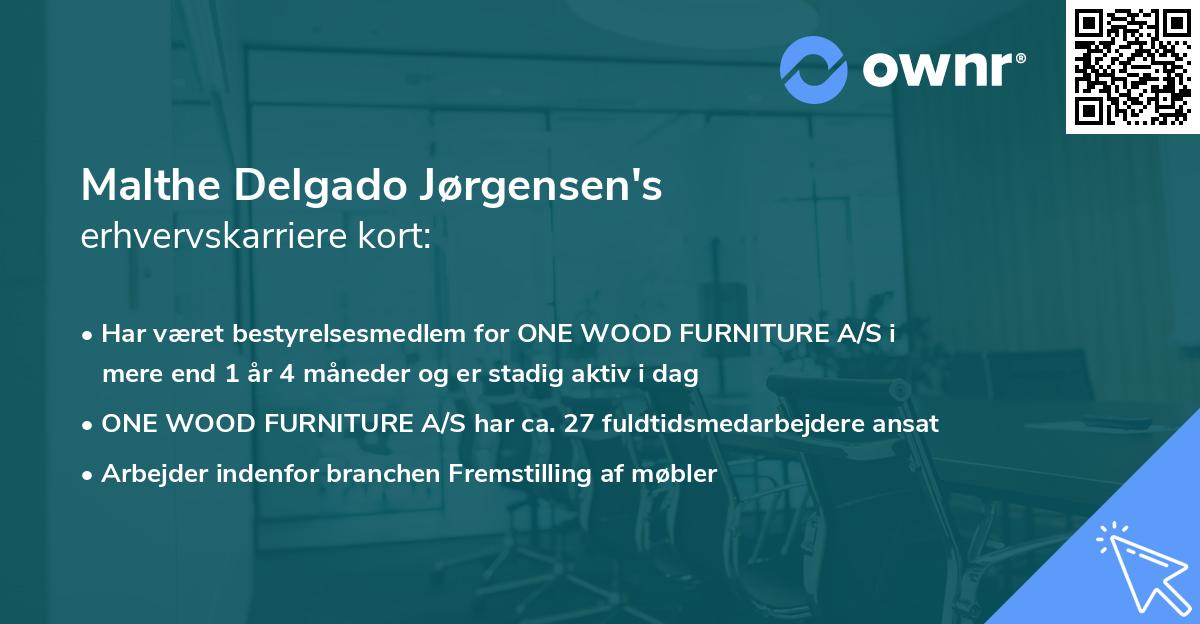 Malthe Delgado Jørgensen's erhvervskarriere kort