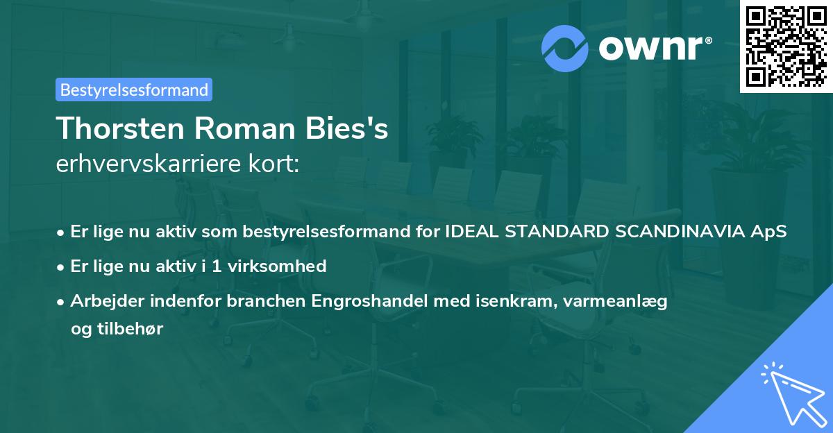 Thorsten Roman Bies's erhvervskarriere kort