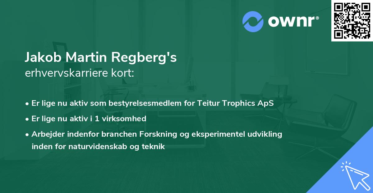 Jakob Martin Regberg's erhvervskarriere kort