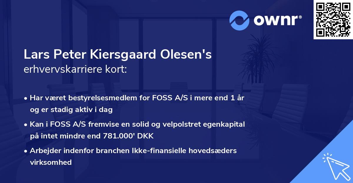 Lars Peter Kiersgaard Olesen's erhvervskarriere kort