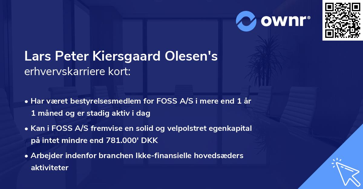 Lars Peter Kiersgaard Olesen's erhvervskarriere kort