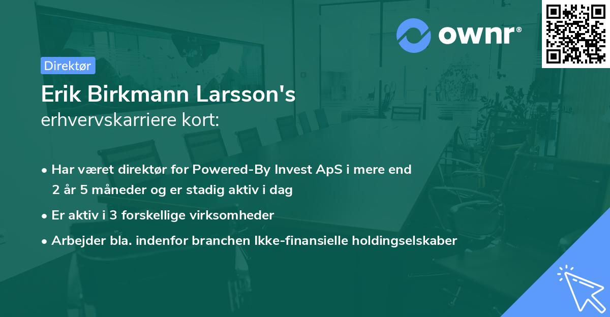 Erik Birkmann Larsson's erhvervskarriere kort