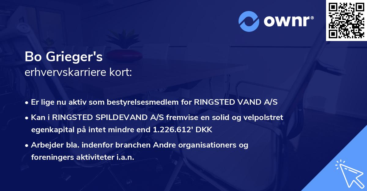 Bo Grieger's erhvervskarriere kort